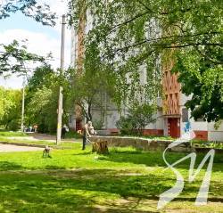 Вина із кульбабок не буде! Вина із кульбабок не буде!